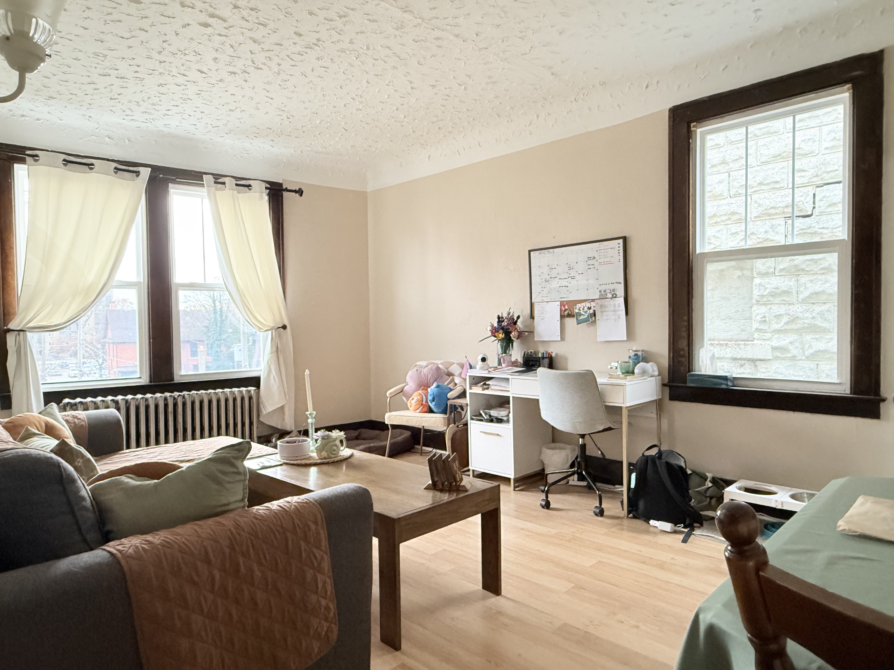 524 Pitt Street West - 303